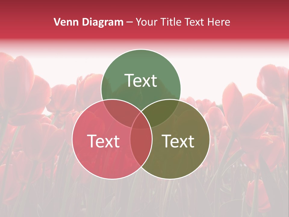 Bright Orange Background PowerPoint Template