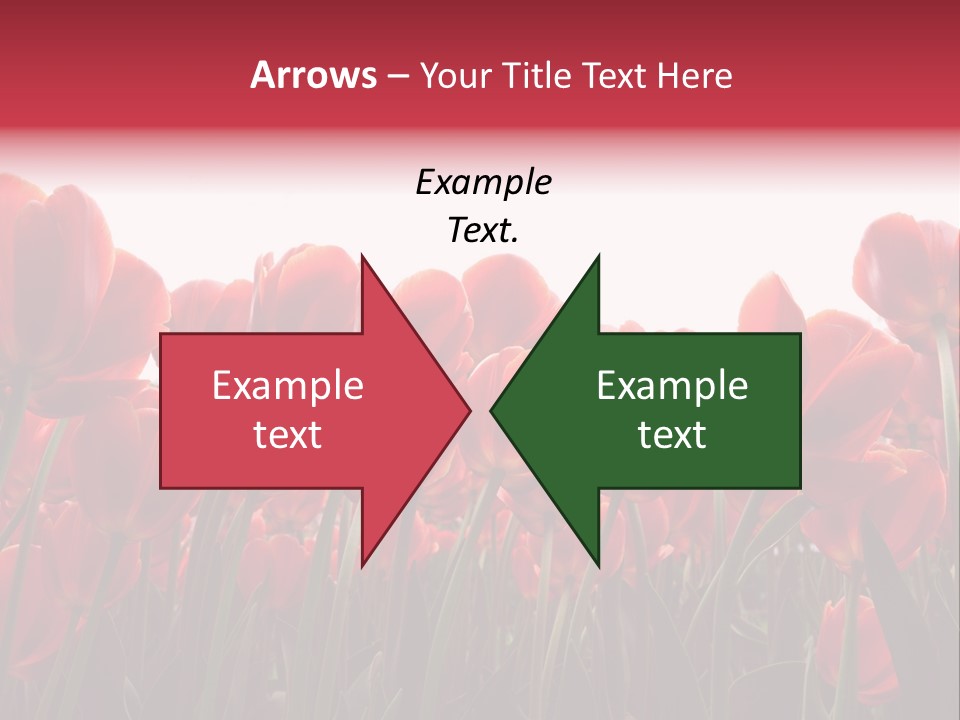 Bright Orange Background PowerPoint Template