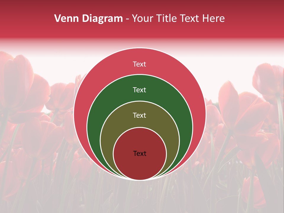 Bright Orange Background PowerPoint Template