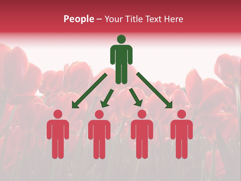 Bright Orange Background PowerPoint Template