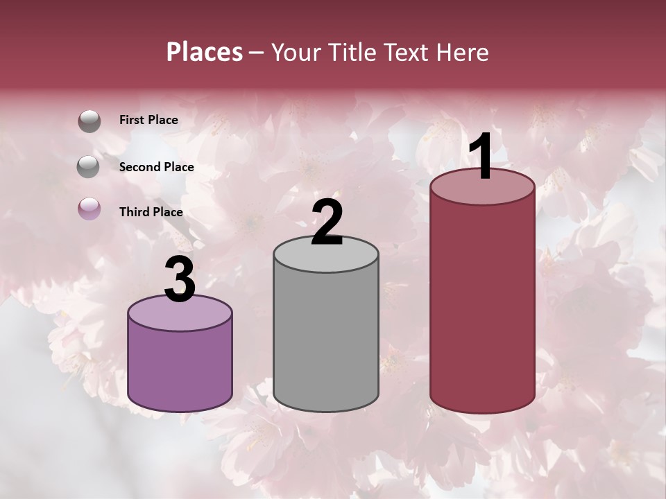 New Life Sunlight Sakura PowerPoint Template