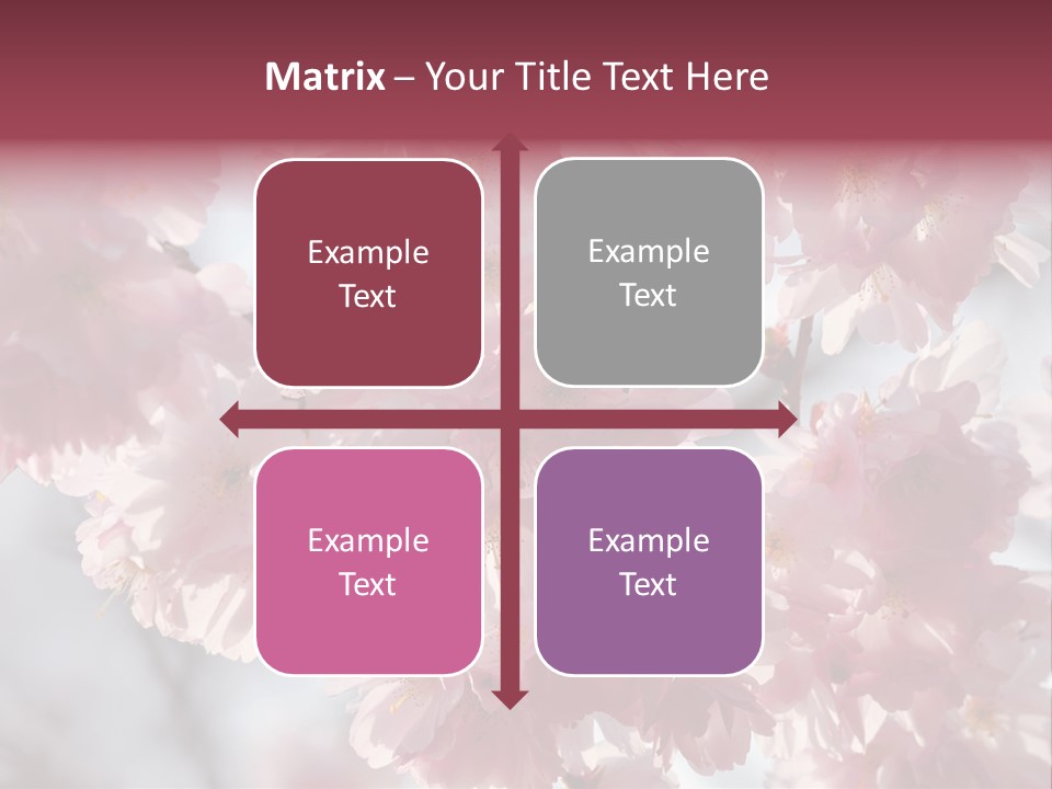 New Life Sunlight Sakura PowerPoint Template