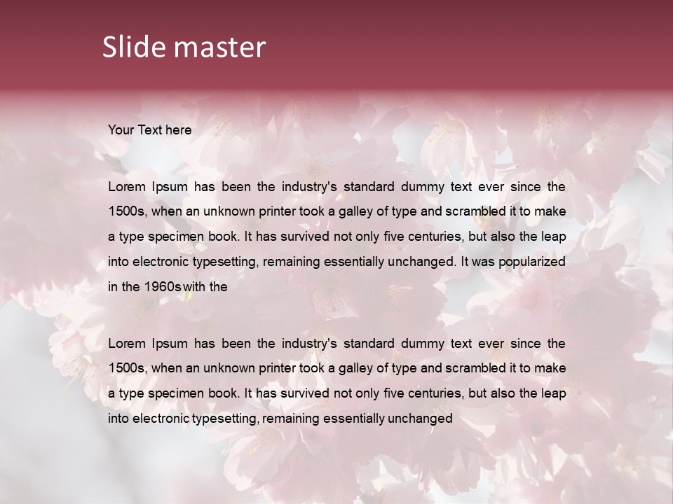 New Life Sunlight Sakura PowerPoint Template