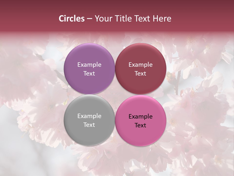 New Life Sunlight Sakura PowerPoint Template