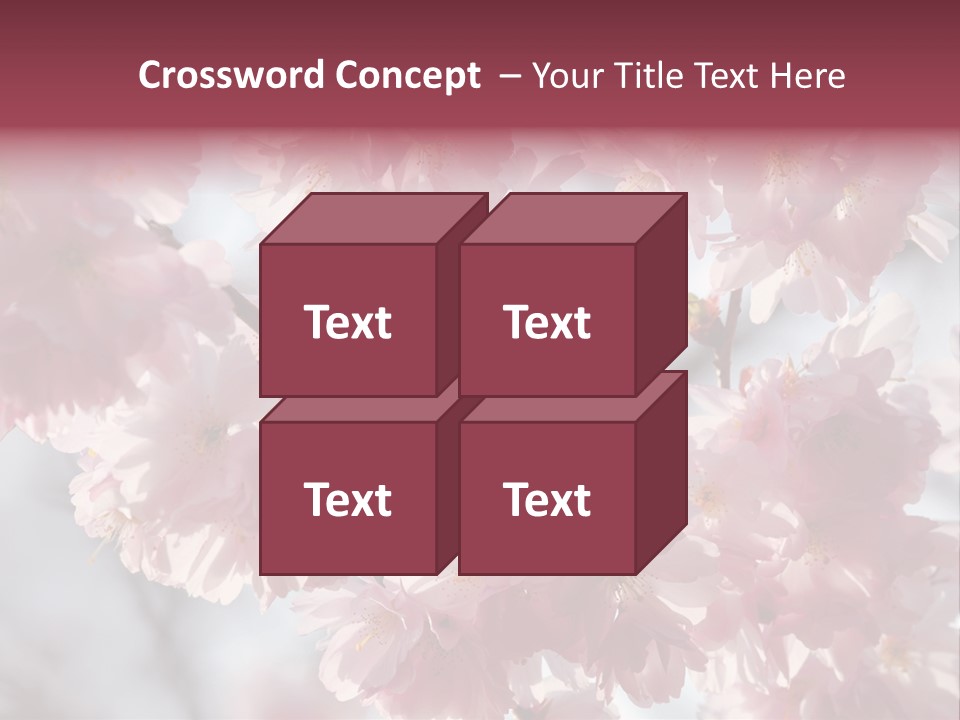 New Life Sunlight Sakura PowerPoint Template