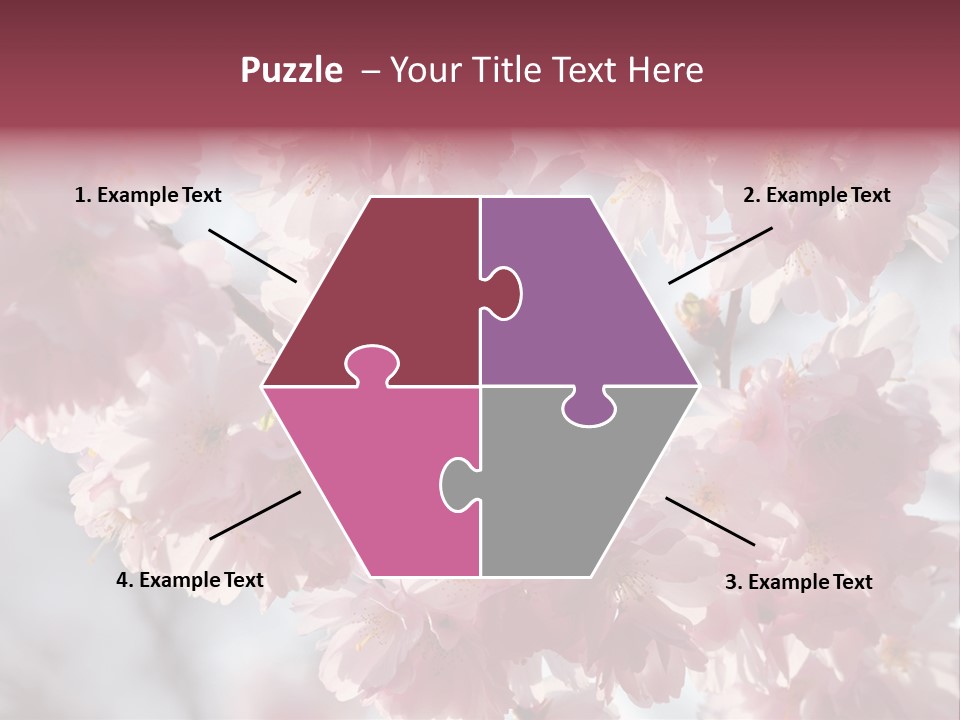 New Life Sunlight Sakura PowerPoint Template