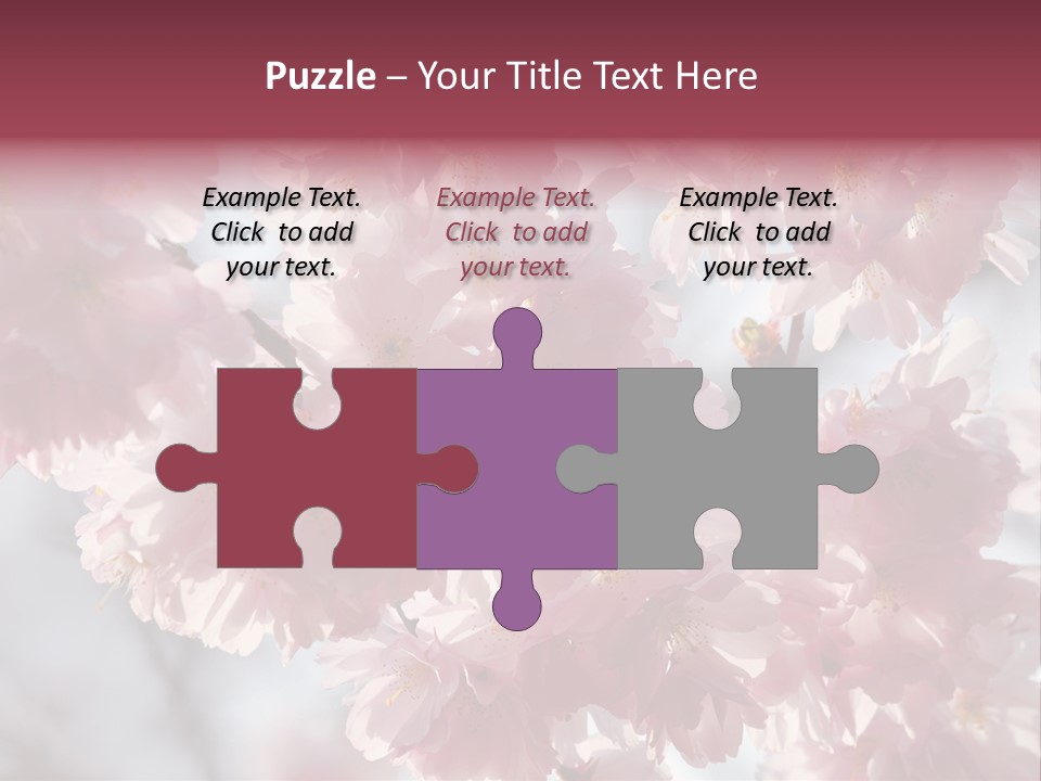 New Life Sunlight Sakura PowerPoint Template