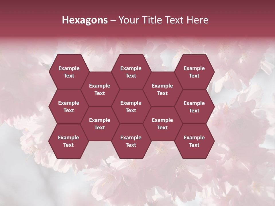 New Life Sunlight Sakura PowerPoint Template