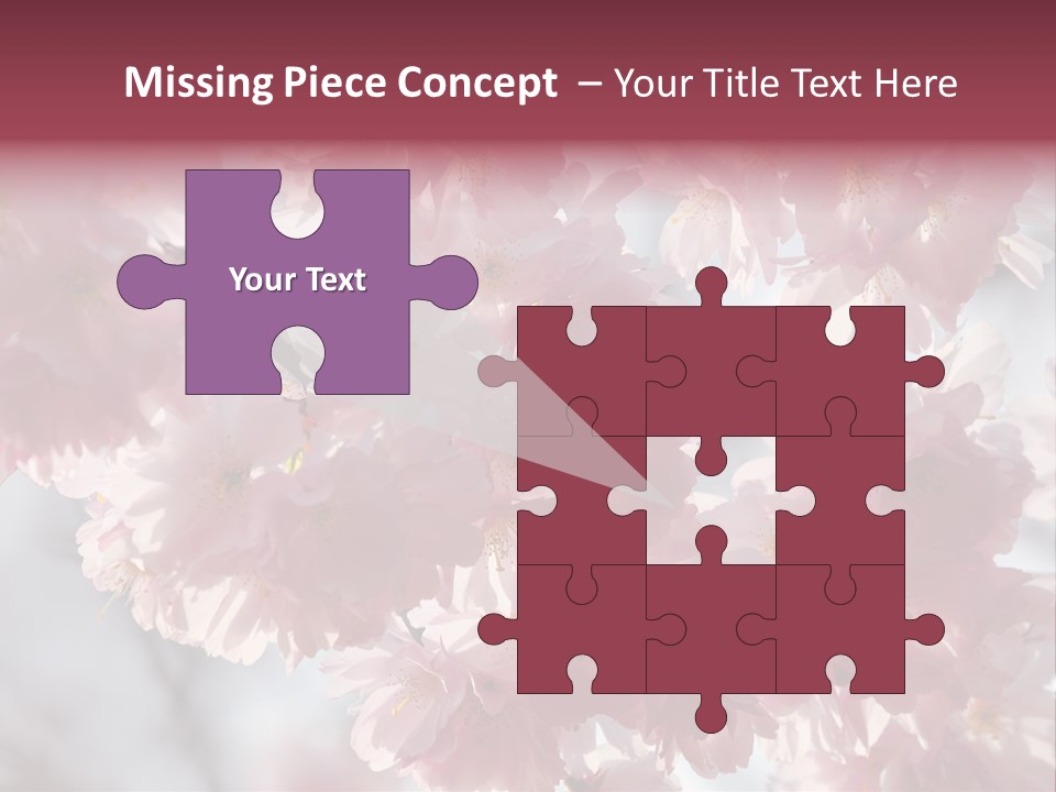 New Life Sunlight Sakura PowerPoint Template