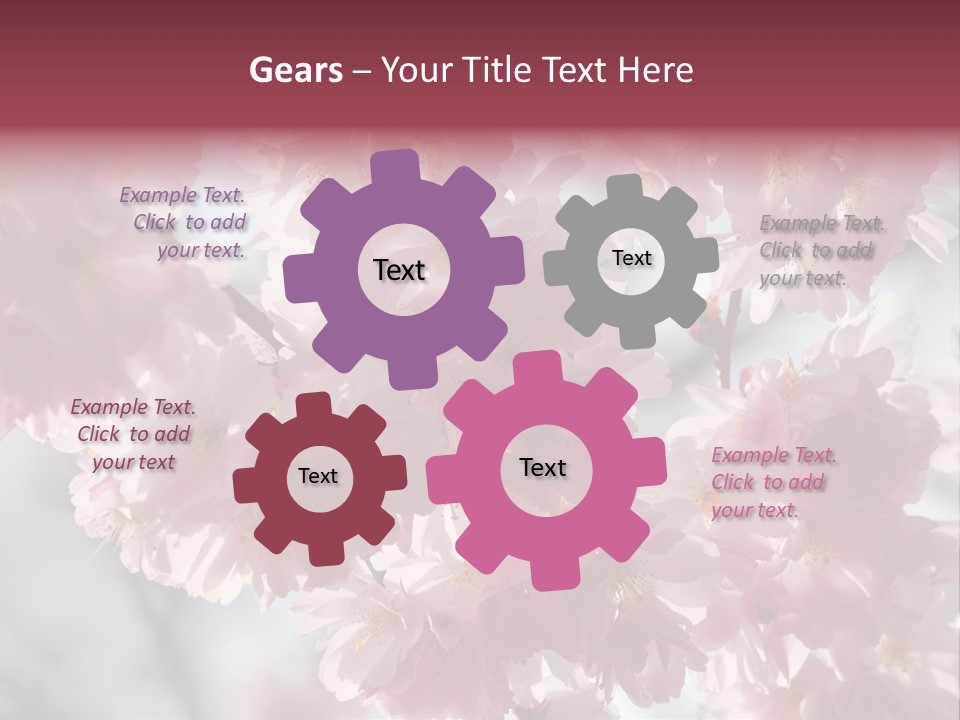 New Life Sunlight Sakura PowerPoint Template