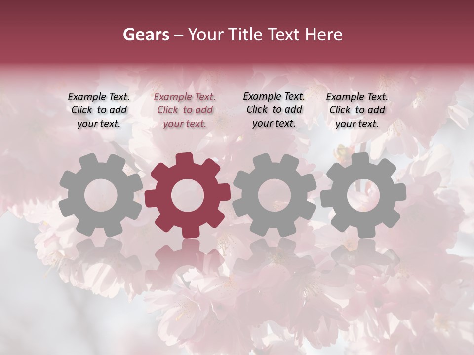 New Life Sunlight Sakura PowerPoint Template