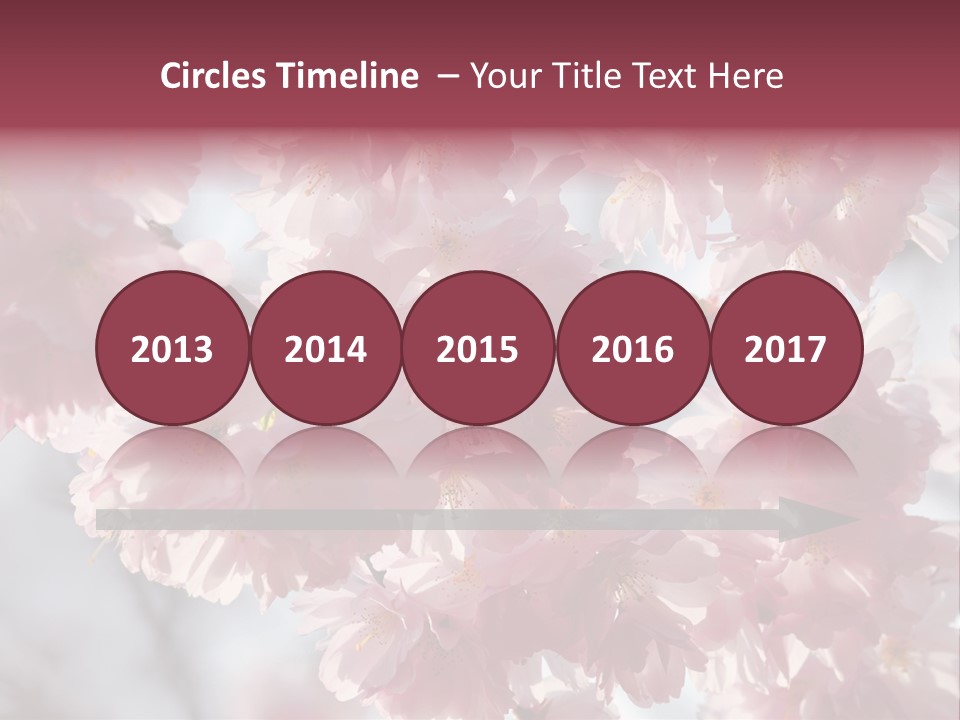 New Life Sunlight Sakura PowerPoint Template