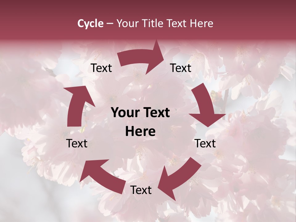 New Life Sunlight Sakura PowerPoint Template