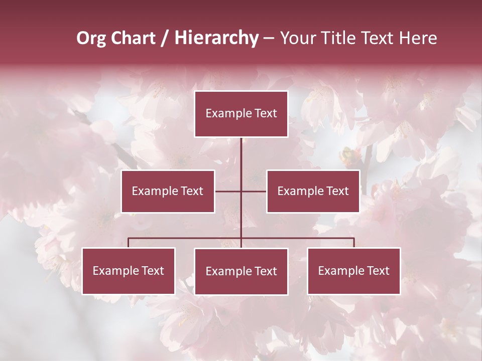 New Life Sunlight Sakura PowerPoint Template