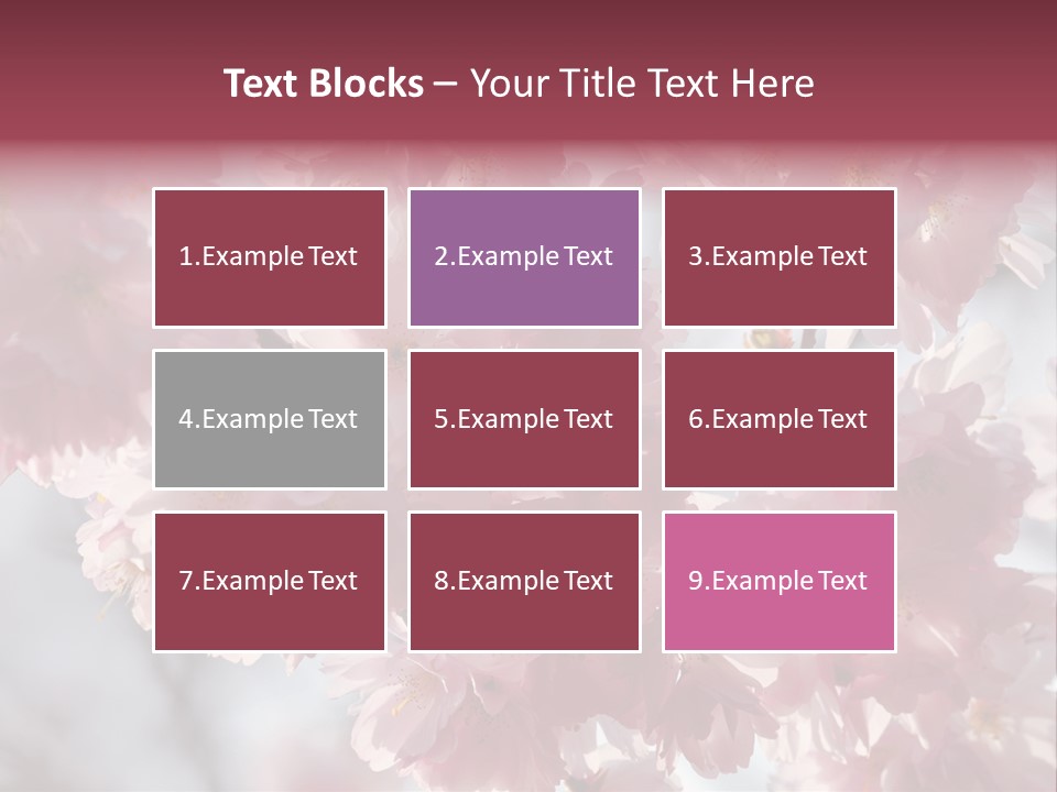 New Life Sunlight Sakura PowerPoint Template