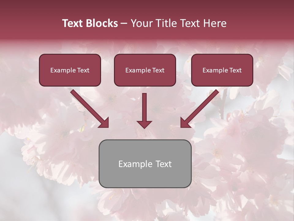 New Life Sunlight Sakura PowerPoint Template