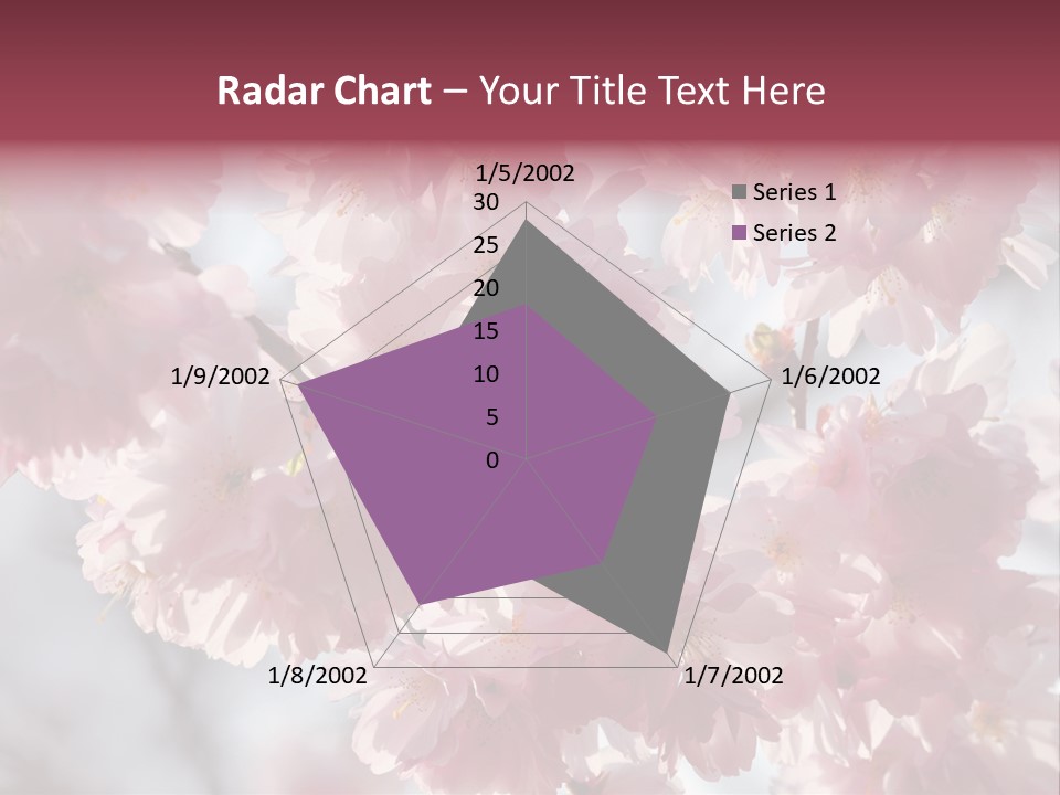New Life Sunlight Sakura PowerPoint Template