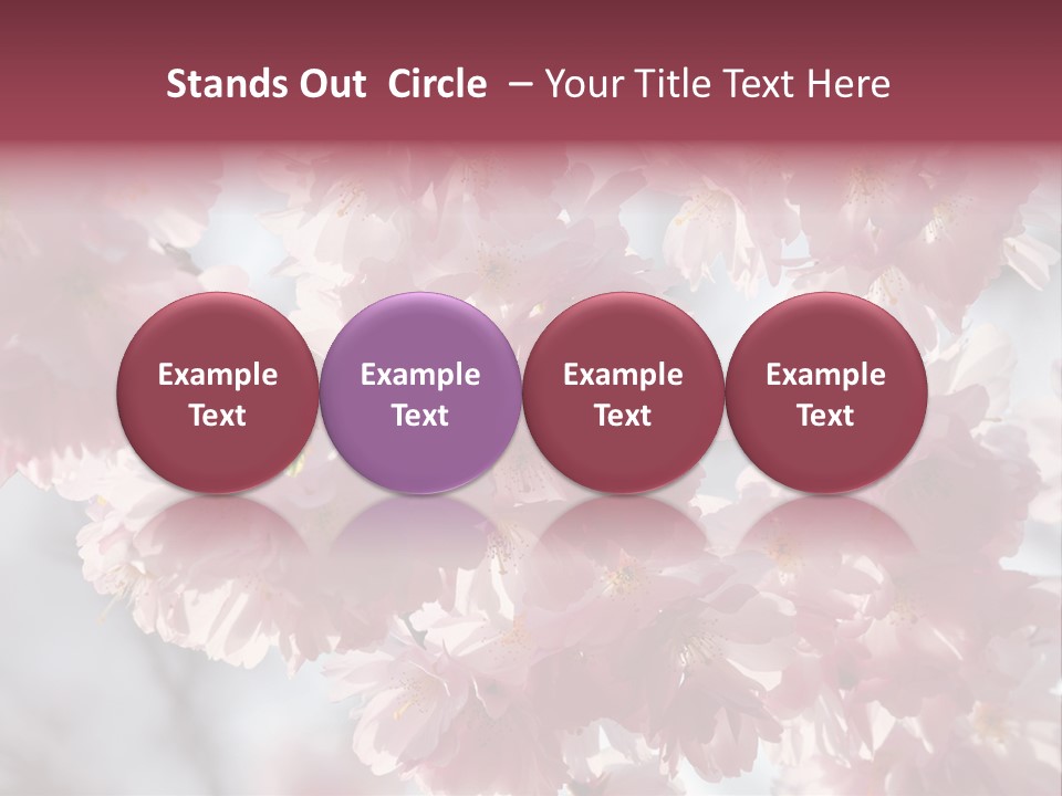 New Life Sunlight Sakura PowerPoint Template