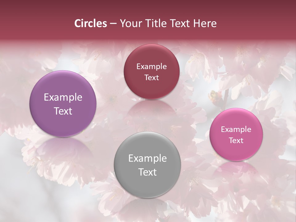 New Life Sunlight Sakura PowerPoint Template