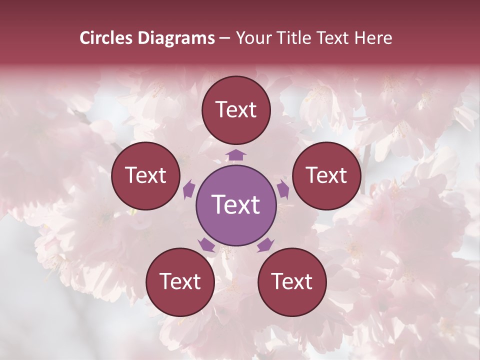 New Life Sunlight Sakura PowerPoint Template