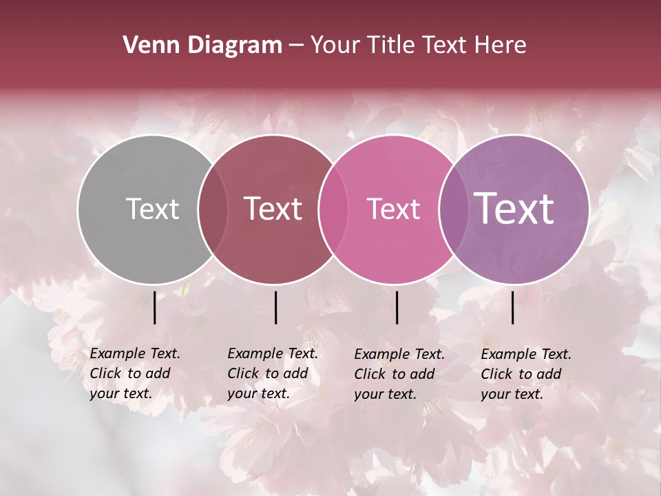 New Life Sunlight Sakura PowerPoint Template