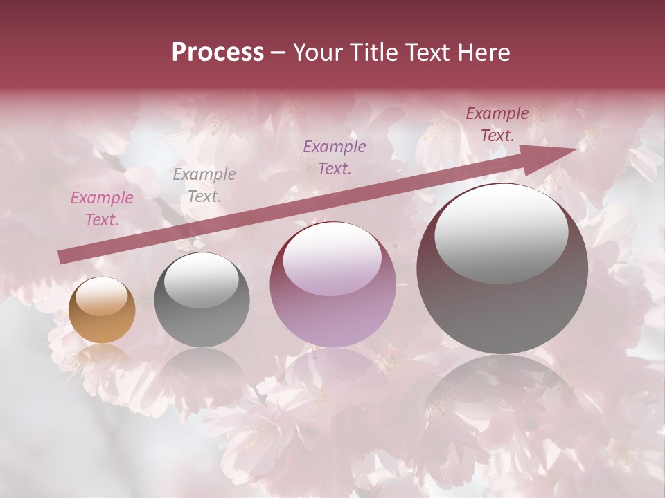 New Life Sunlight Sakura PowerPoint Template
