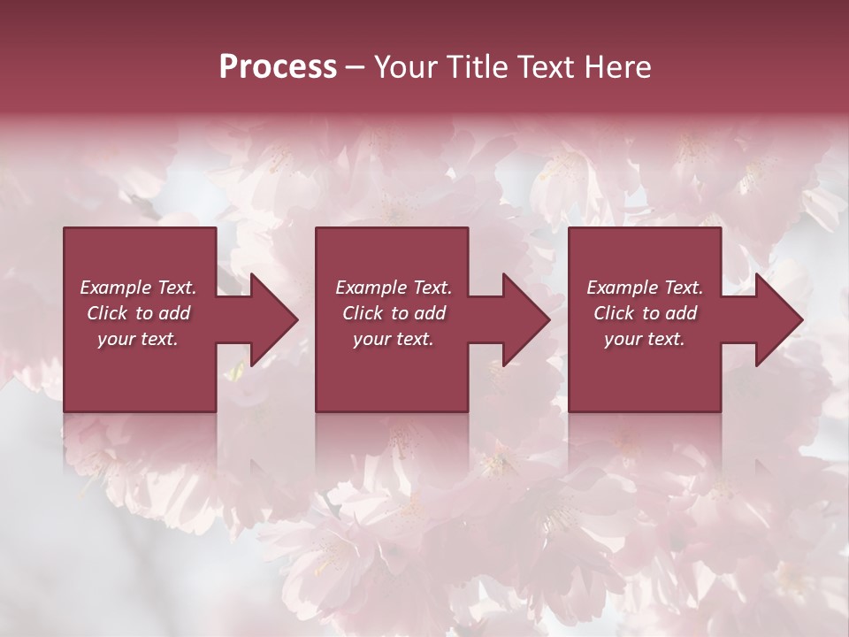 New Life Sunlight Sakura PowerPoint Template