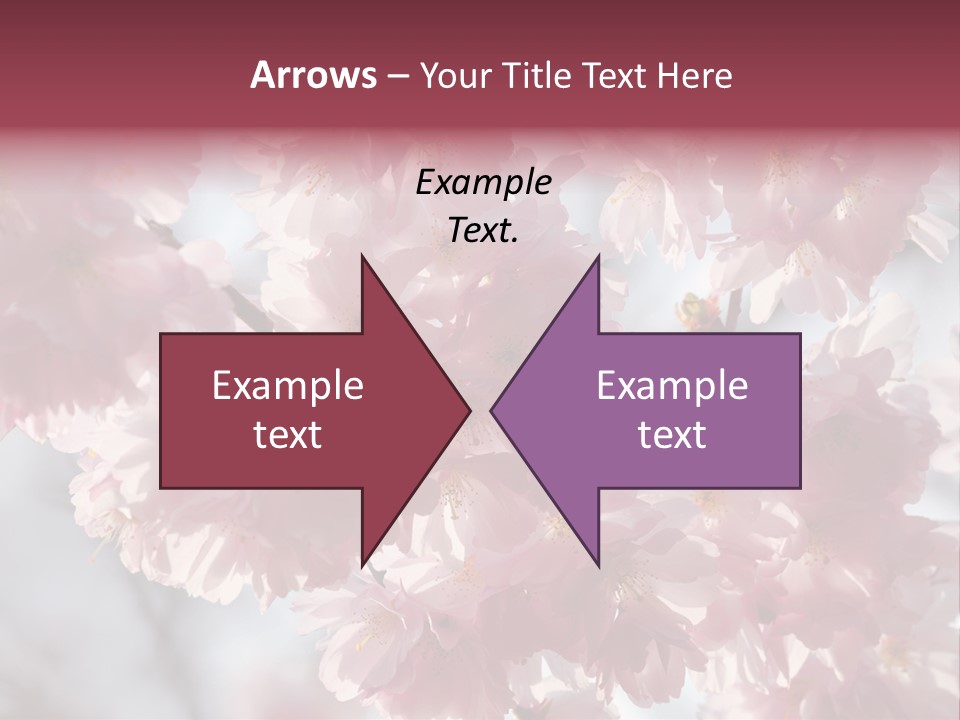 New Life Sunlight Sakura PowerPoint Template
