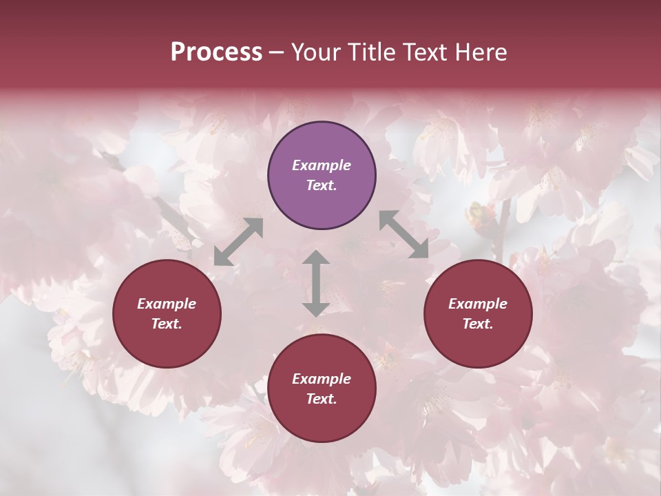 New Life Sunlight Sakura PowerPoint Template