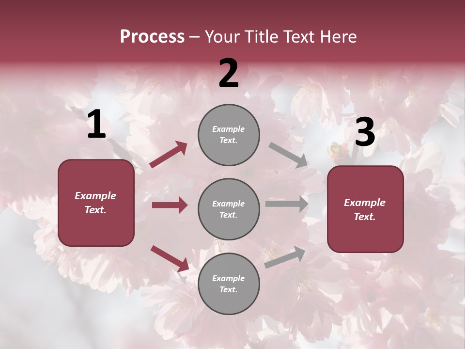 New Life Sunlight Sakura PowerPoint Template