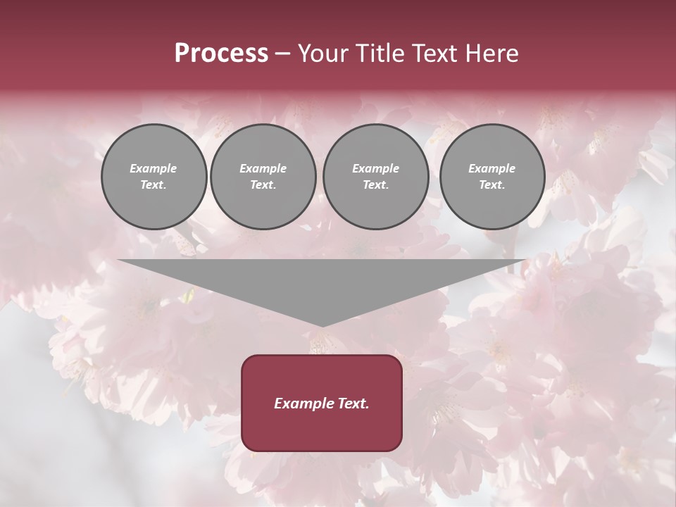 New Life Sunlight Sakura PowerPoint Template