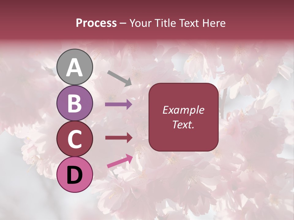 New Life Sunlight Sakura PowerPoint Template