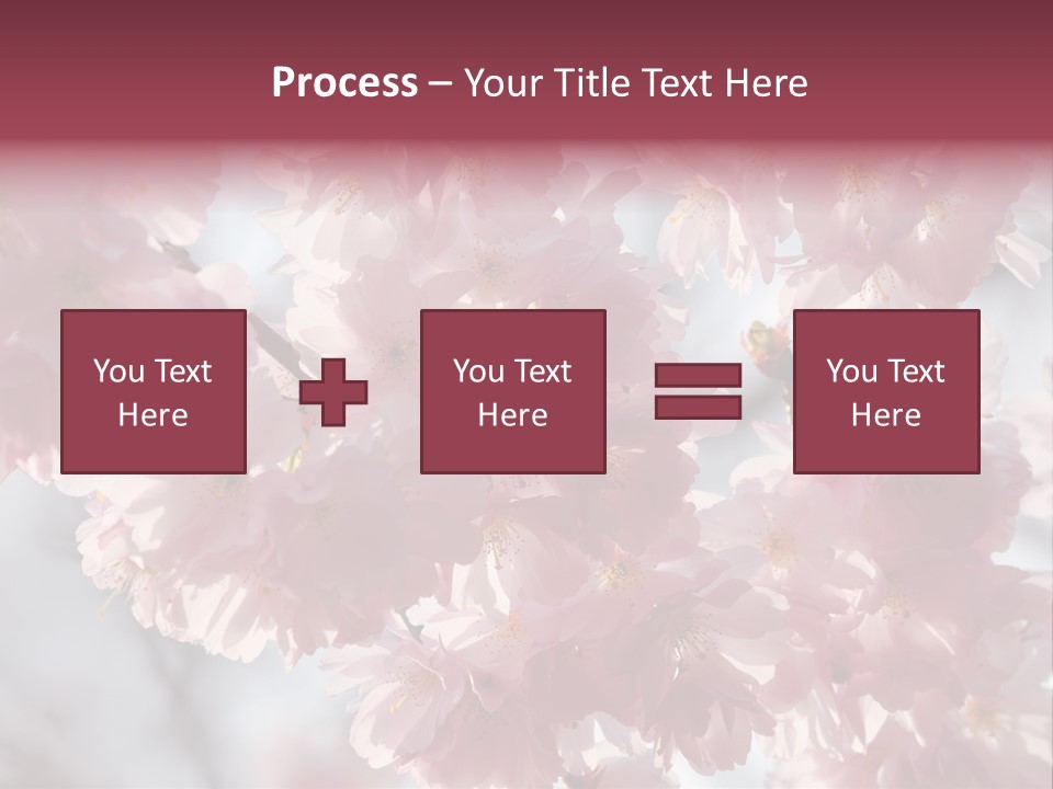 New Life Sunlight Sakura PowerPoint Template