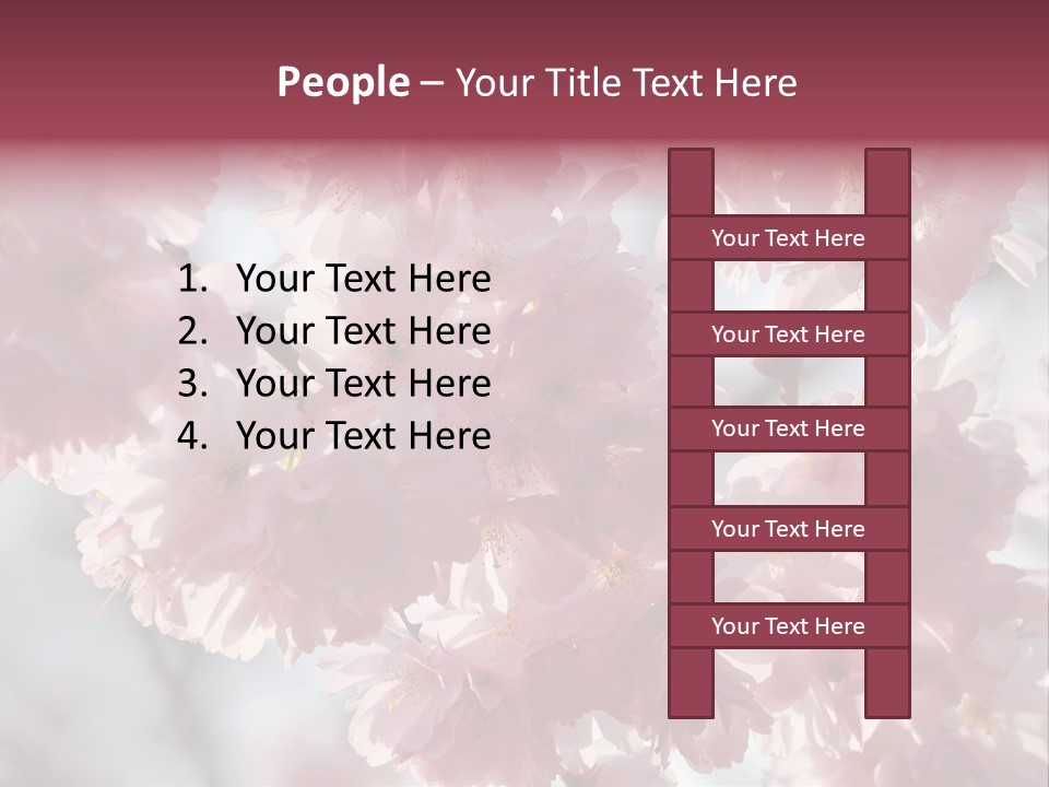 New Life Sunlight Sakura PowerPoint Template