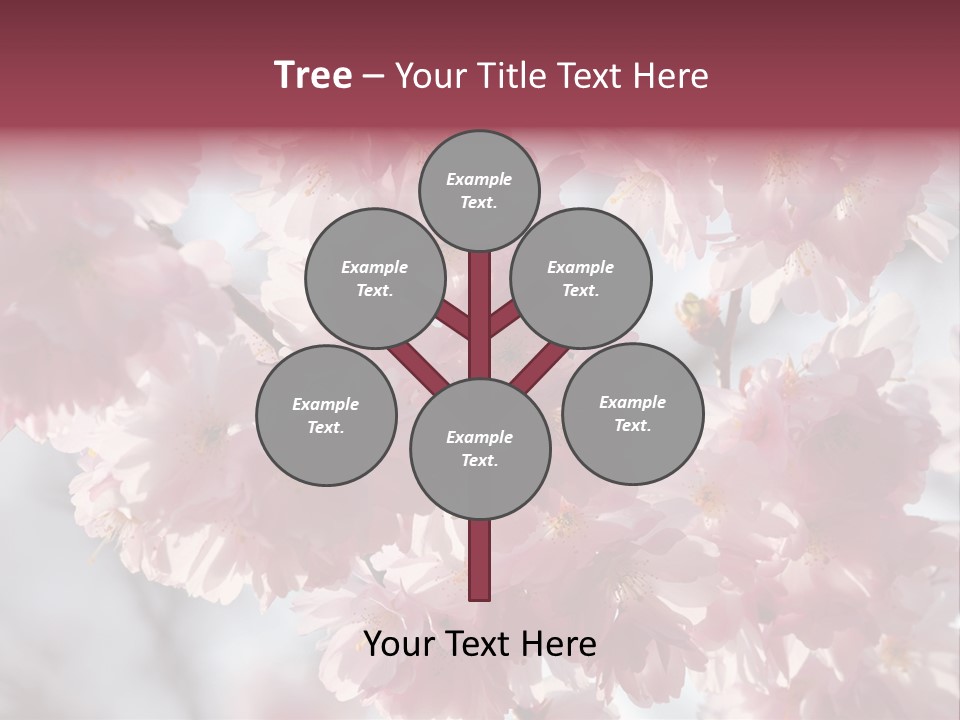 New Life Sunlight Sakura PowerPoint Template