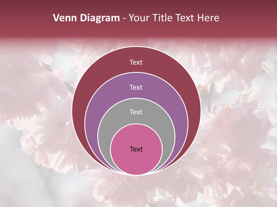 New Life Sunlight Sakura PowerPoint Template