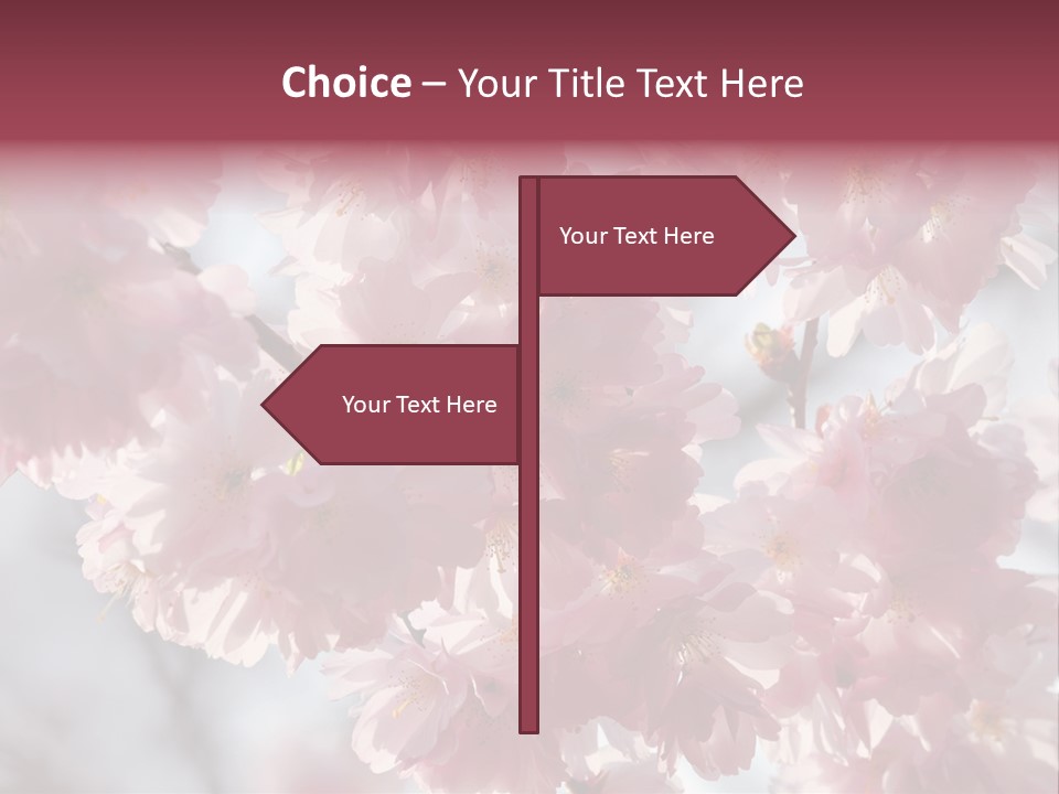 New Life Sunlight Sakura PowerPoint Template