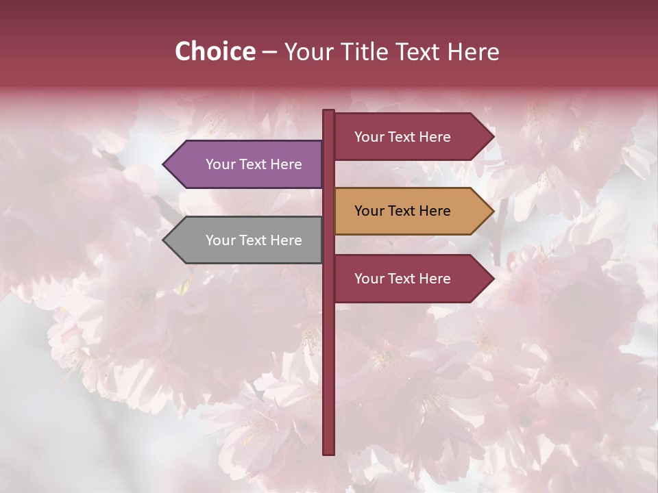 New Life Sunlight Sakura PowerPoint Template