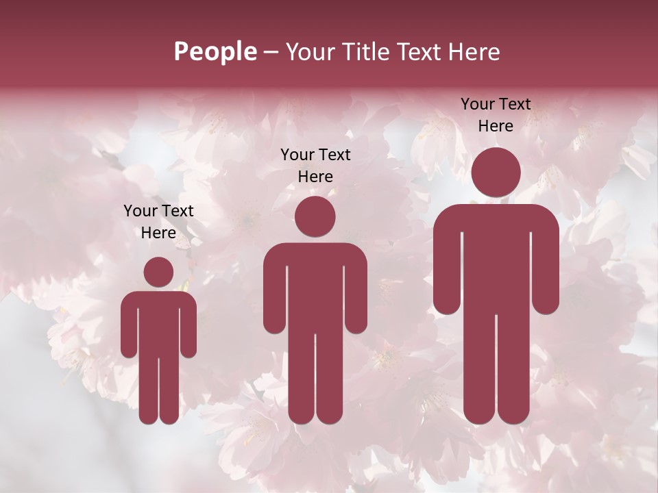 New Life Sunlight Sakura PowerPoint Template