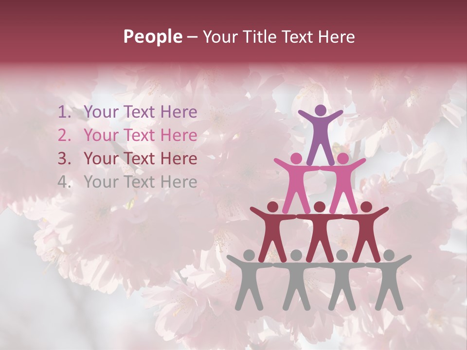 New Life Sunlight Sakura PowerPoint Template