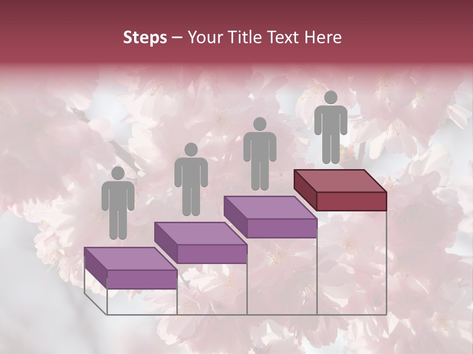 New Life Sunlight Sakura PowerPoint Template