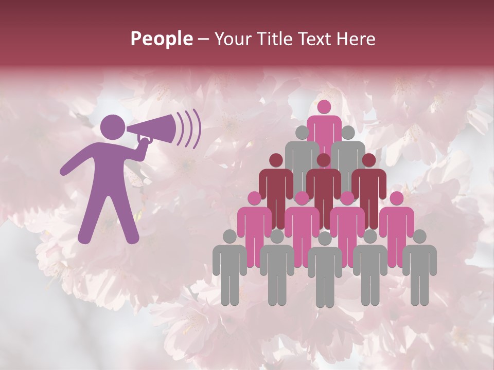 New Life Sunlight Sakura PowerPoint Template