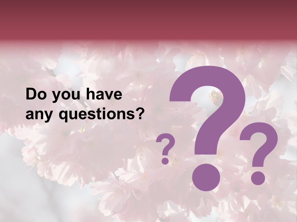 New Life Sunlight Sakura PowerPoint Template