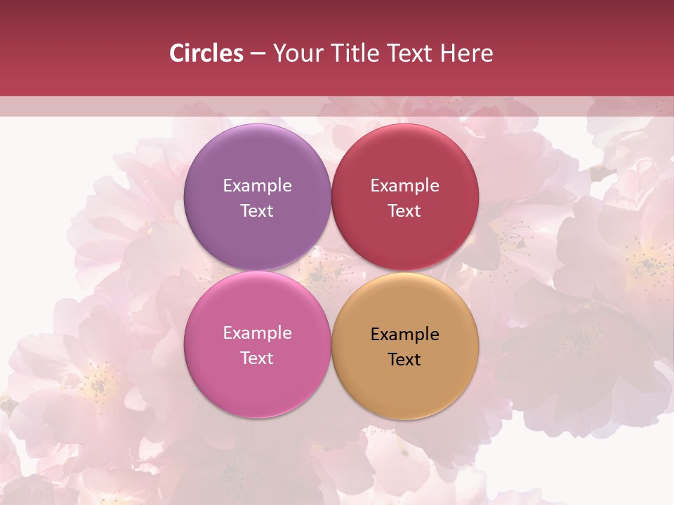 Flower Blossom Flower Head PowerPoint Template