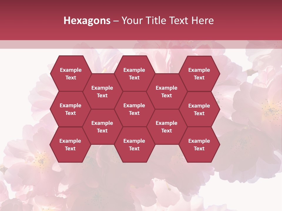 Flower Blossom Flower Head PowerPoint Template