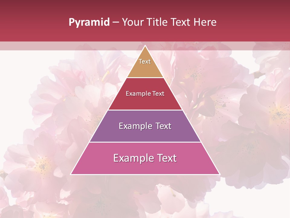 Flower Blossom Flower Head PowerPoint Template