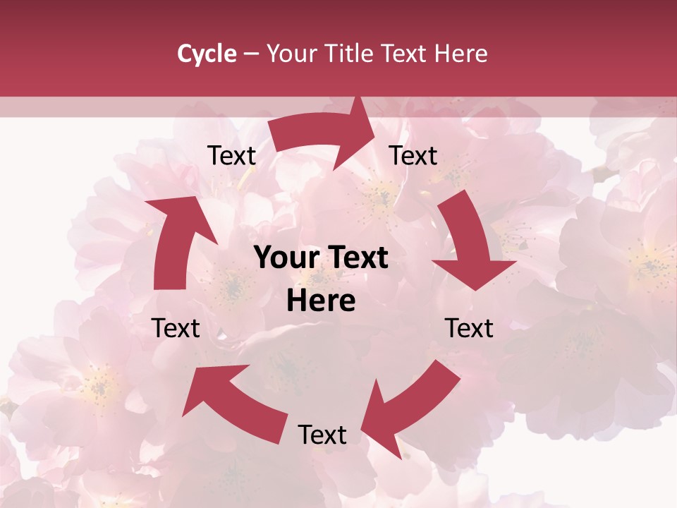 Flower Blossom Flower Head PowerPoint Template