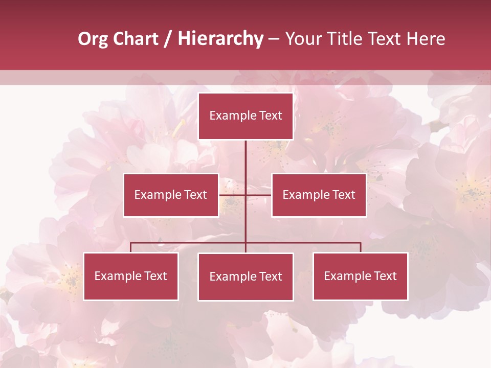 Flower Blossom Flower Head PowerPoint Template