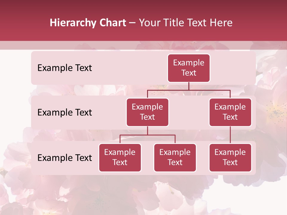 Flower Blossom Flower Head PowerPoint Template