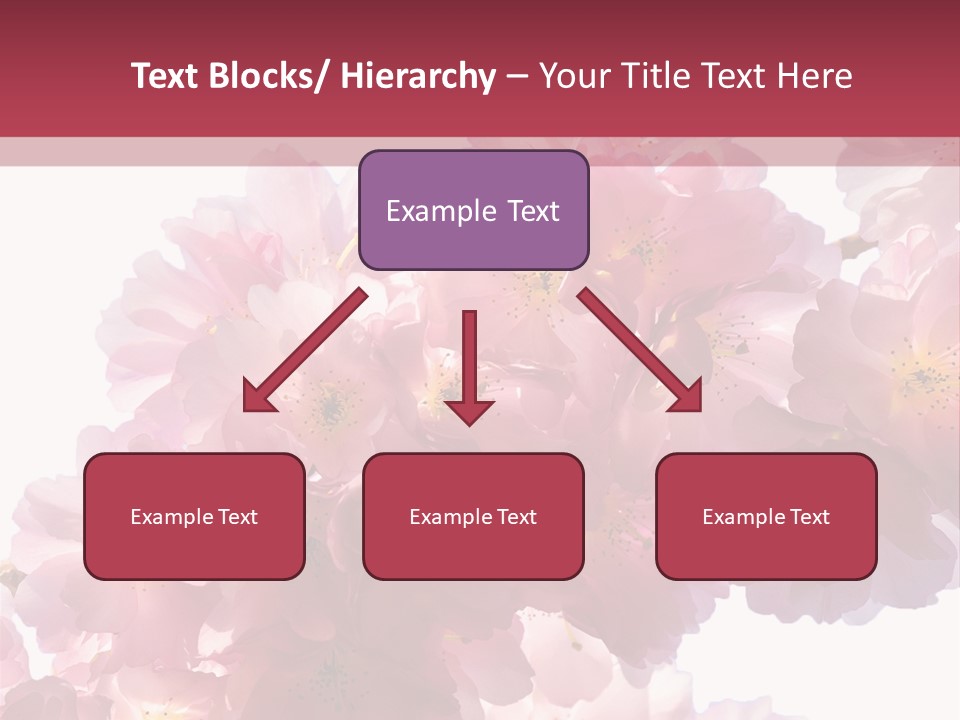 Flower Blossom Flower Head PowerPoint Template